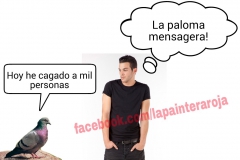 Paloma mensagera