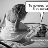 PicsArt_1446562827292