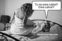 PicsArt_1446562827292