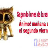 PicsArt_1452141701594
