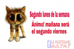 PicsArt_1452141701594