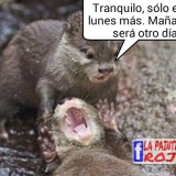 PicsArt_1453068892641