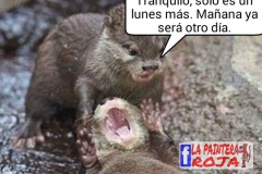 PicsArt_1453068892641