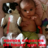 adultos imbeciles
