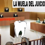 muela juicio