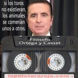 ortega y casset