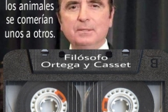 ortega y casset