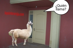 quien llama