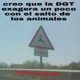 salto dgt
