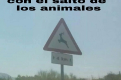 salto dgt