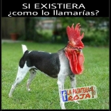 PicsArt_10-23-12.00.40